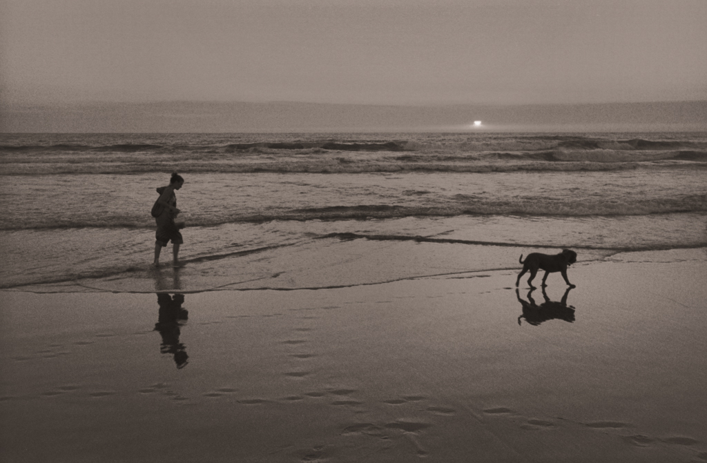 Dog Walker at Sunset, Ocean Beach, 2004