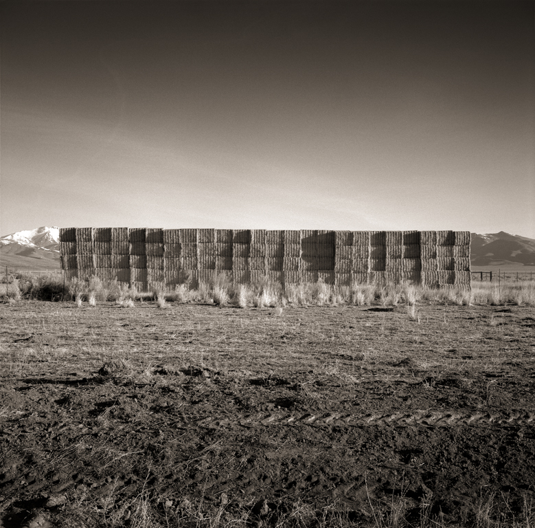 Hay, Paradise Valley, 2013