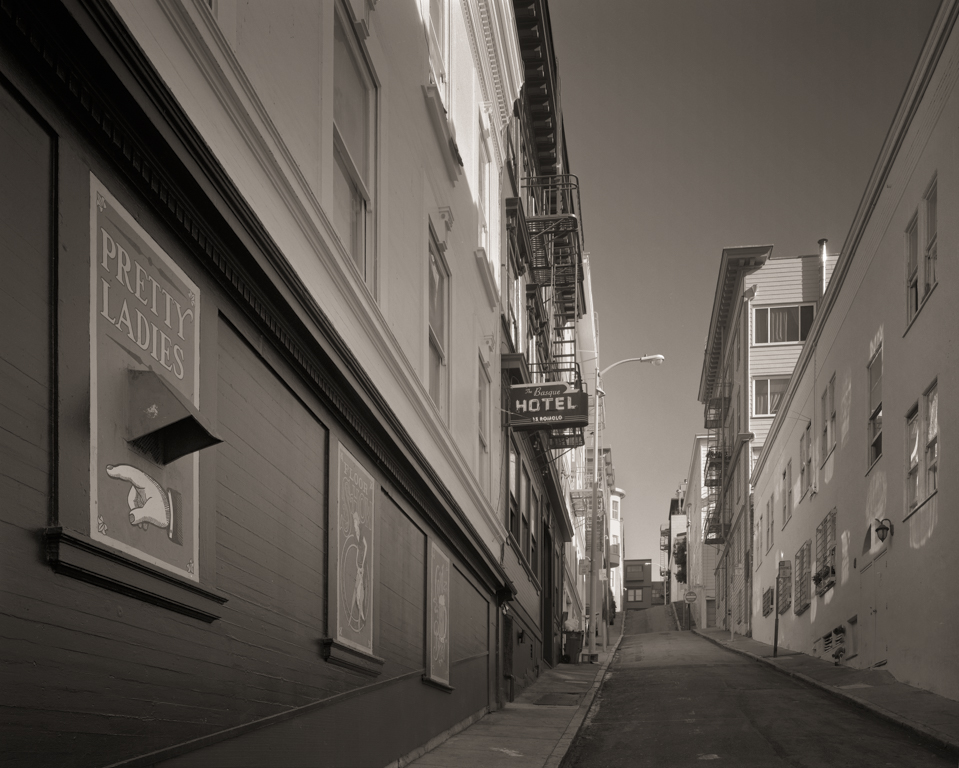 Romolo Alley, 2014