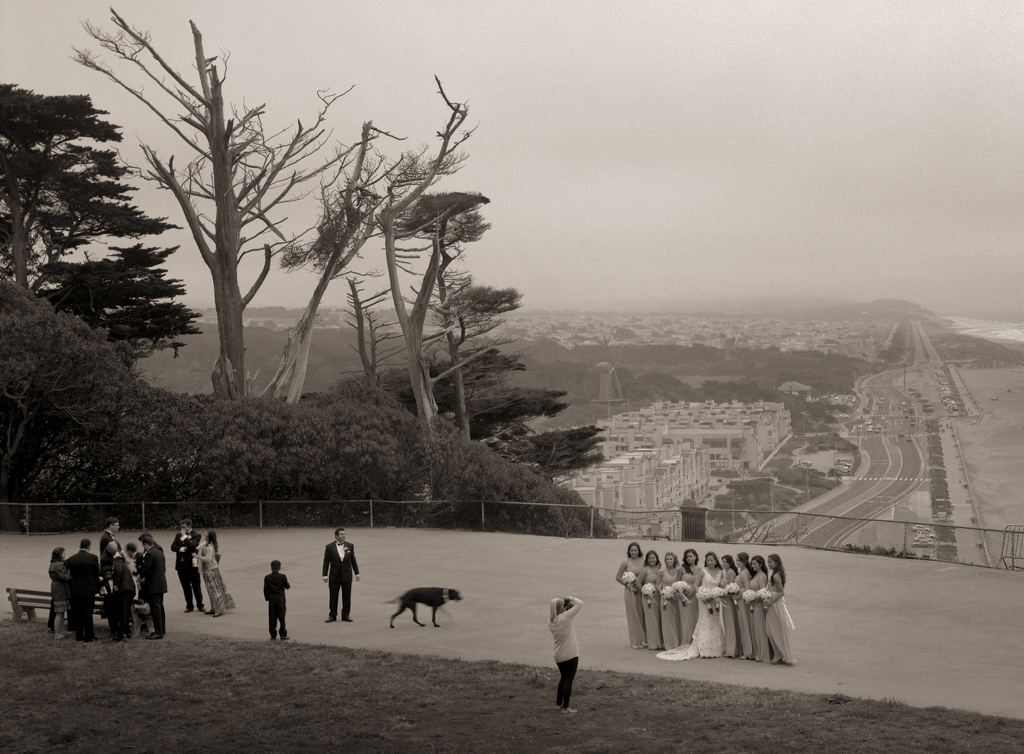 Wedding Party, #3, Sutro Park, 2013